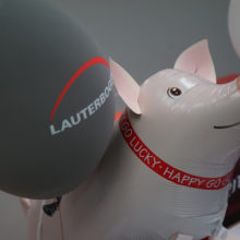20 Jahre Lauterbogen