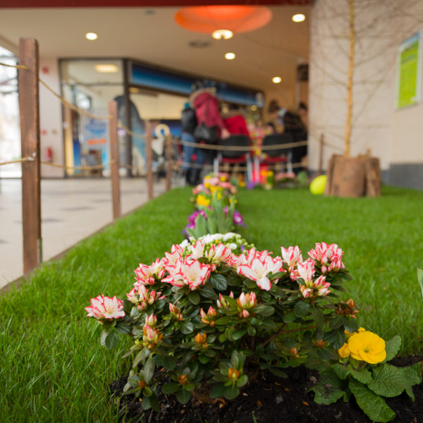 Osterbummlen in Suhl Osterbummlen in Suhl