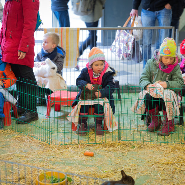 Osterbummlen in Suhl Osterbummlen in Suhl