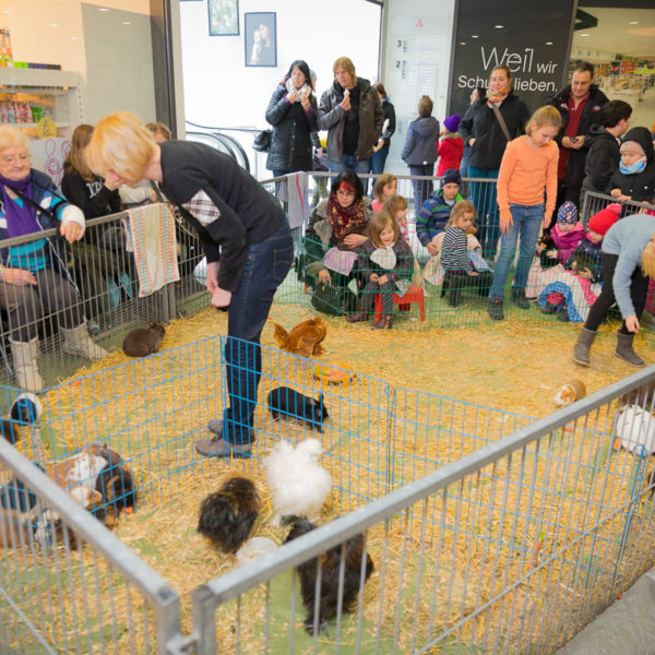 Osterbummlen in Suhl Osterbummlen in Suhl